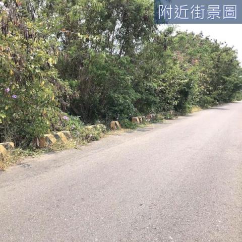安南農地-1