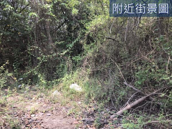 安南農地-3