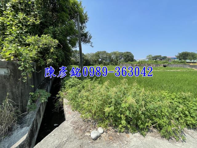 西屯農地-2