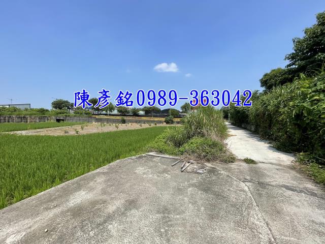 西屯農地-4