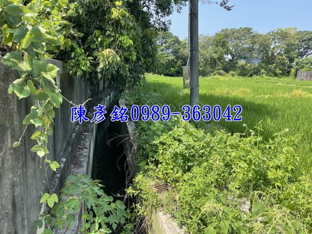 西屯農地-5