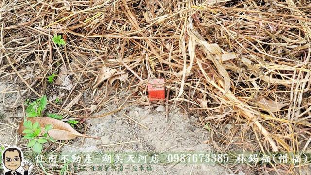 台南農地-10