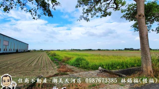 台南農地-11