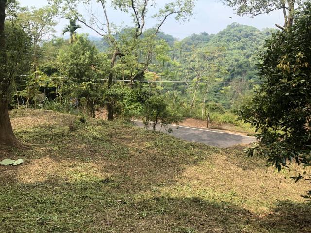 太平山坡地-5