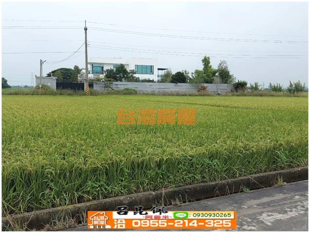 白河農地-7