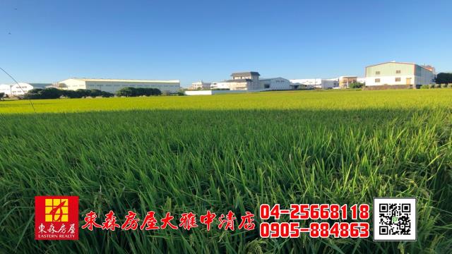 大雅農地-1