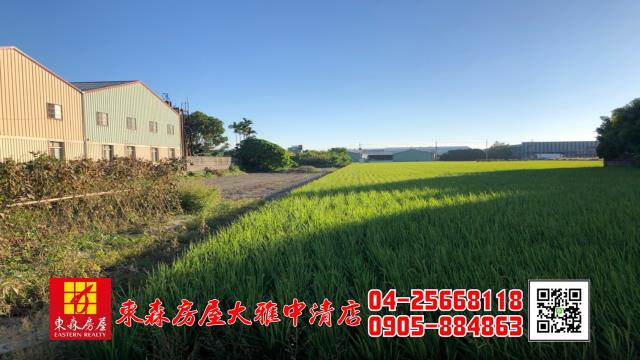 大雅農地-2