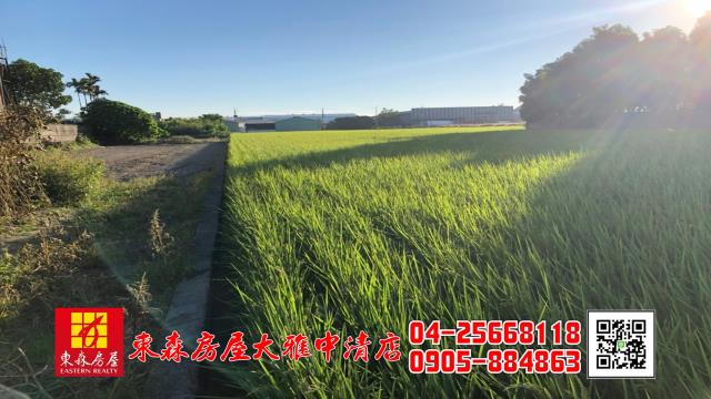 大雅農地-3