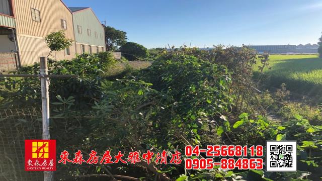 大雅農地-4