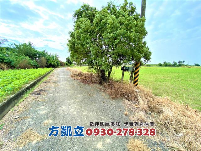 台南善化農地-10