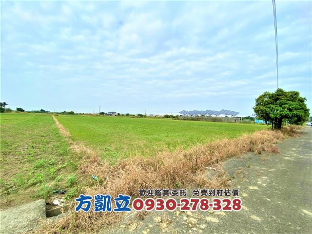 台南善化農地-1