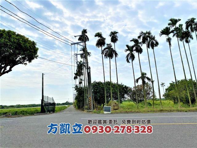 台南善化農地-8