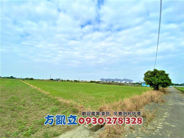 善化農地-1