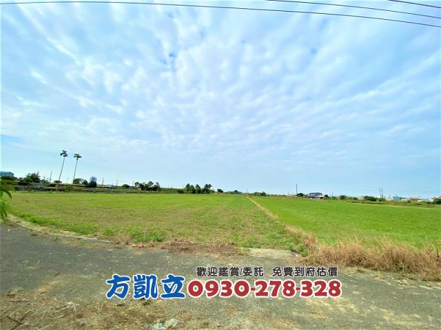 善化農地-9