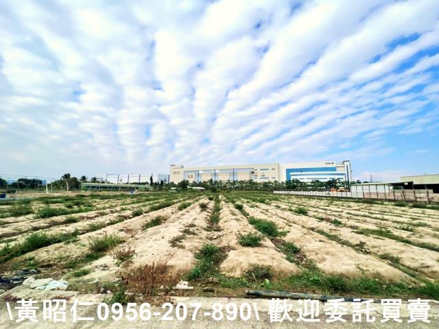 台南官田農地-2