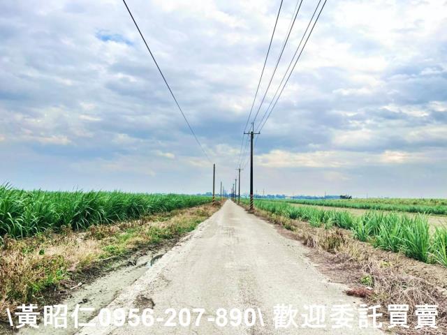 台南官田農地-4