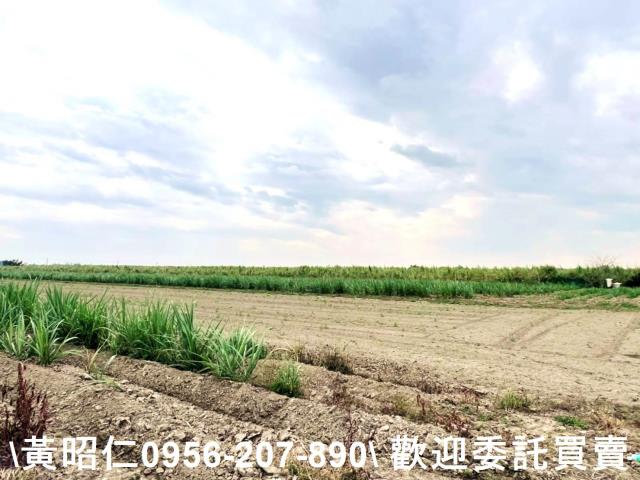 台南官田農地-6