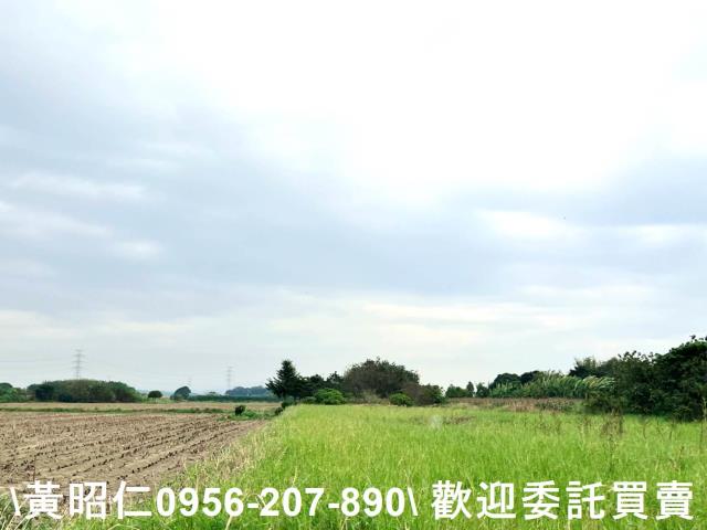 台南官田農地-7