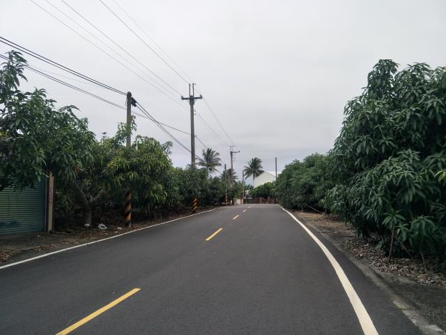 玉井農地-1