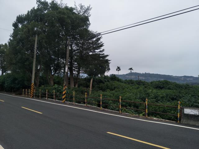 玉井農地-5