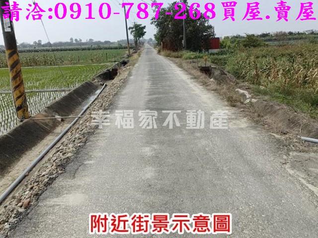 台南善化農地-9