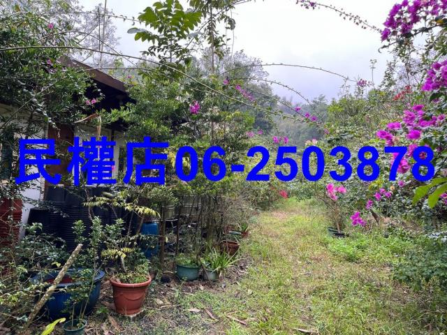 新化農地-7