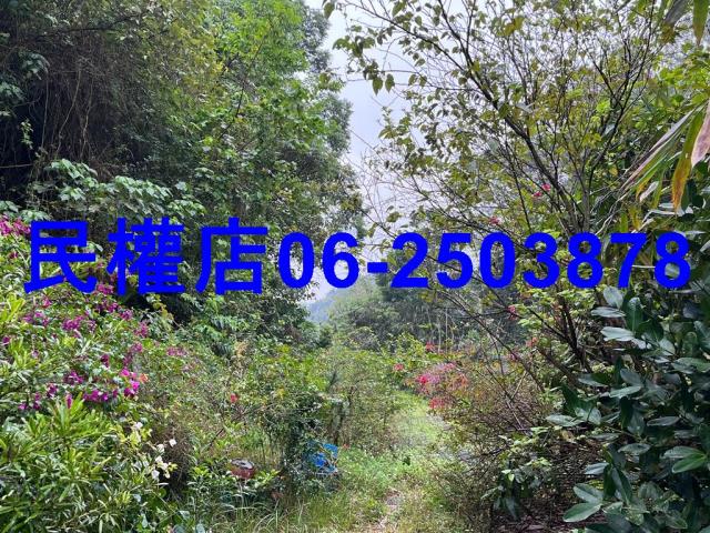 新化農地-2