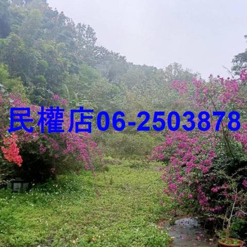 新化農地-4