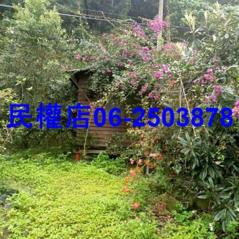新化農地-5