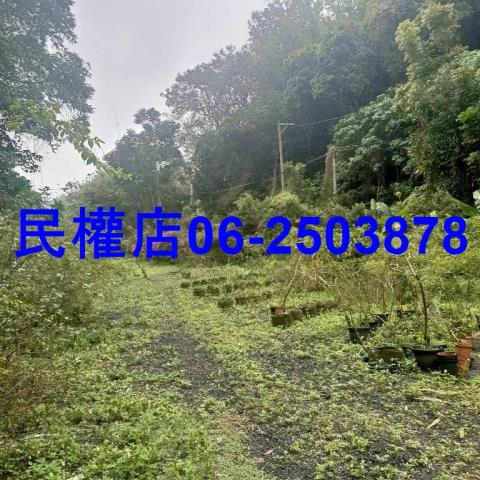 新化農地-6