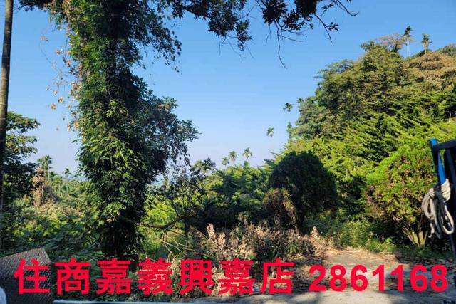 嘉義梅山農地-2