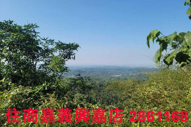 嘉義梅山農地-3