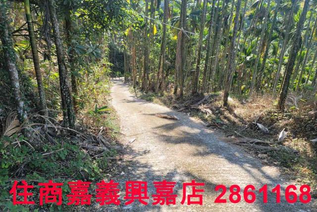 嘉義梅山農地-9