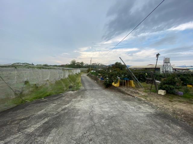 玉井農地-11