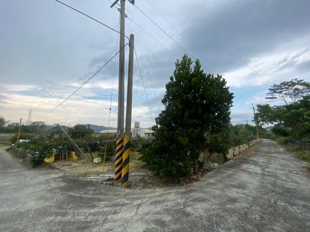 玉井農地-12