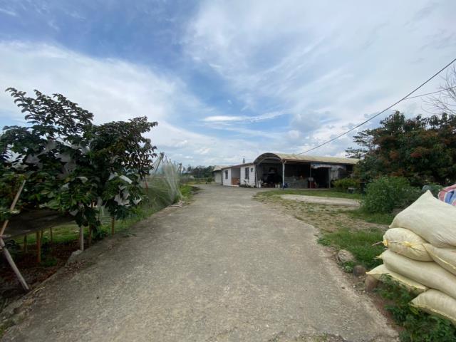 玉井農地-2