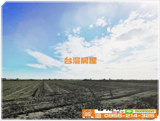 嘉義義竹農地-5