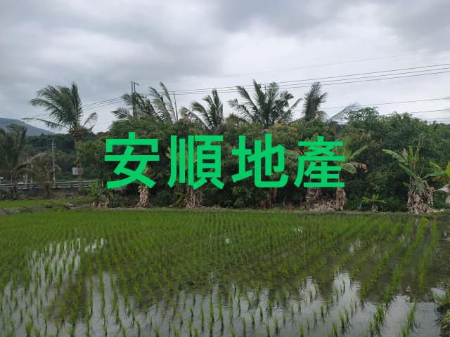 台東鹿野農地-11