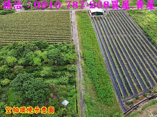 東山農地-1
