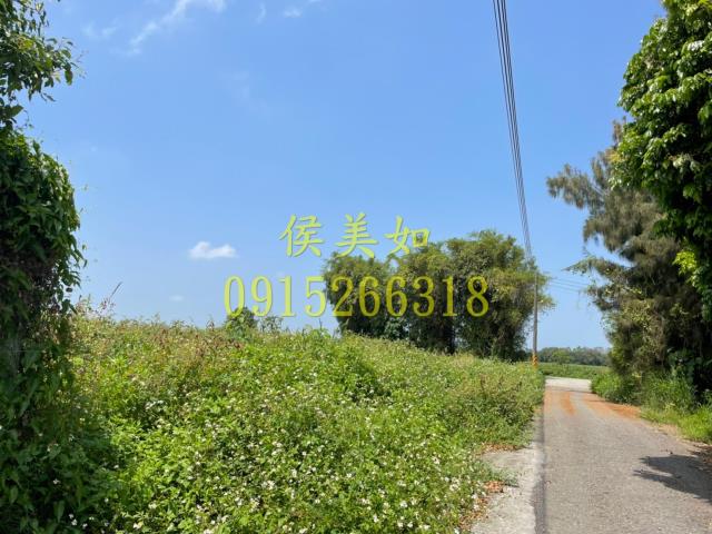六腳農地-3