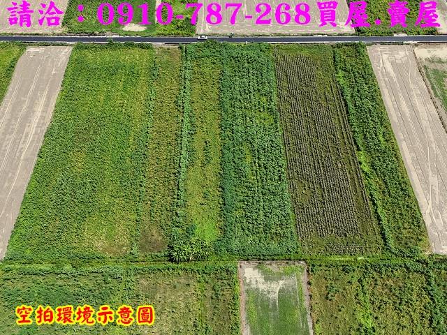 佳里農地-4