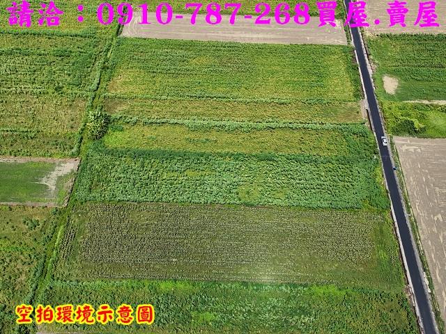佳里農地-7