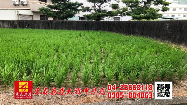 台中農地-5