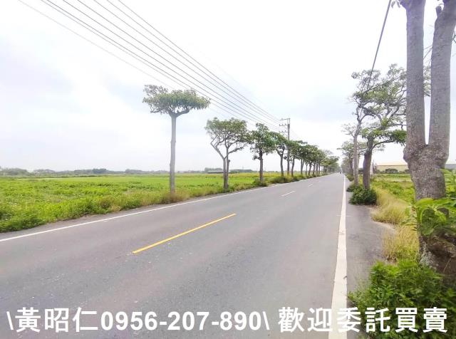 佳里農地-6