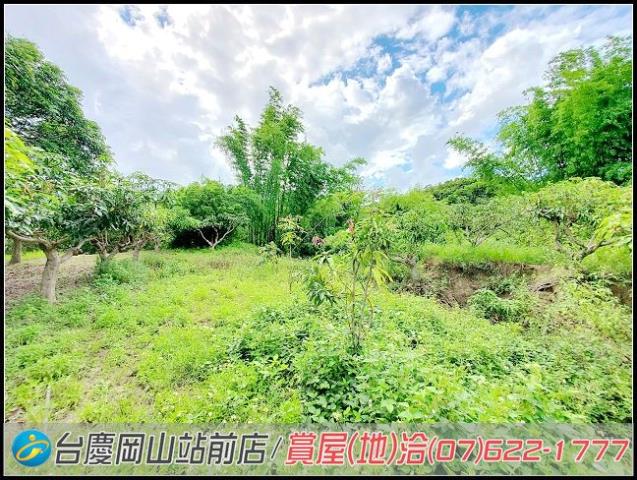 田寮農地-7