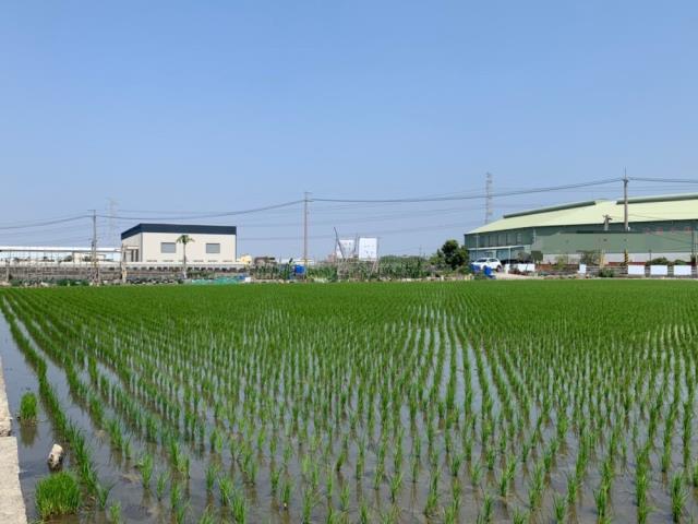 霧峰農地-6