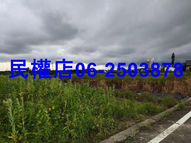新市農地-2