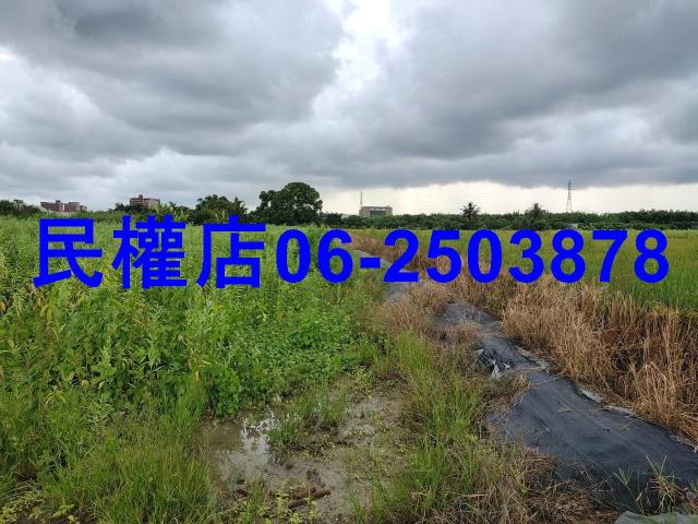 新市農地-3