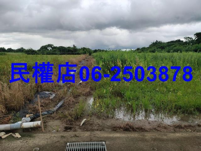 新市農地-4