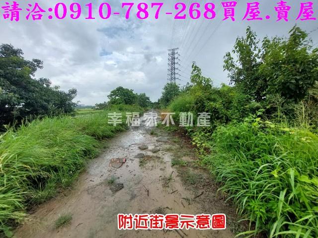 台南農地-6